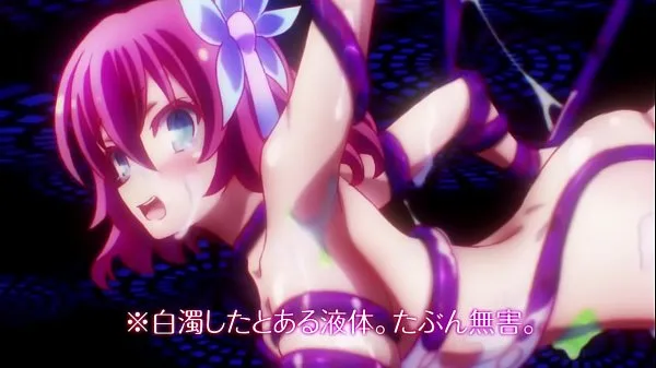 Watch No Game No Life (2014) - Fanservice Compilation total Tube
